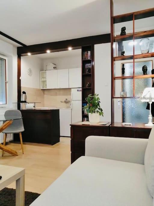Dorcol Hideaway Διαμέρισμα Βελιγράδι Εξωτερικό φωτογραφία
